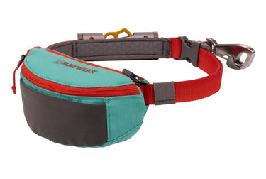 Ruffwear Hitch Hiker Dog Portable Hitch & Leash Combo - Aurora Teal